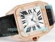 Swiss Copy Cartier 2824 Santos 100th Anniversary Rose Gold Diamond Watch (4)_th.jpg